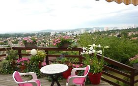 Joli petit Appart sur les Côtes de Cébazat/Clermont Ferrand